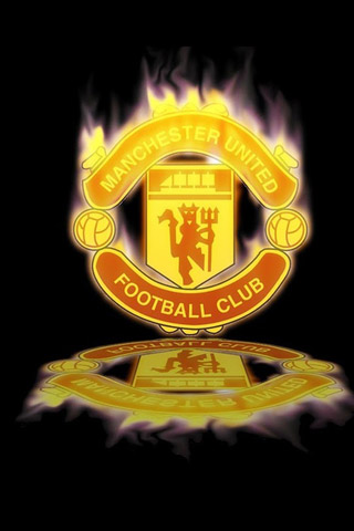 的稳健表现 的稳健表现