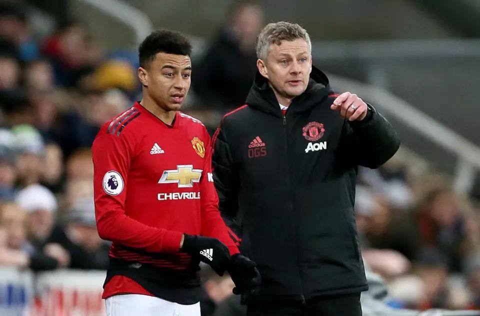 球比赛中 球比赛中